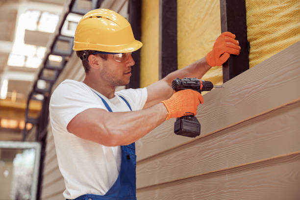 Best Custom Siding Design  in Homer, LA